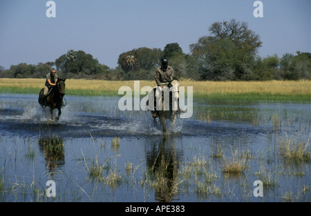 Deux coureurs masculins de race blanche au galop en eau peu profonde sur un Safari à cheval dans le Delta de l'Okavango Botswana Afrique Banque D'Images