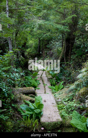 Journal d'un sentier le long du sentier maritime de Juan de Fuca. Banque D'Images