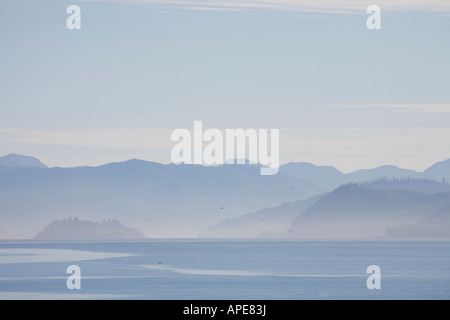 Les montagnes des Îles de la Reine Charlotte embué en été. Banque D'Images