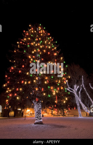 Les lumières de Noël ornent les arbres à Wheeler Park dans le centre-ville de Flagstaff, Arizona Banque D'Images