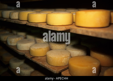 Le fromage mûrit sur des étagères dans une grotte en Suisse. Banque D'Images