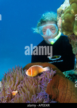 Free Diver et poisson clown Amphiprion perideraion rose en Anemone Reef Agincourt Grande Barrière de corail du nord du Queensland en Australie Banque D'Images