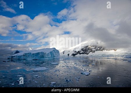 Dans le Brash (antarctique Canal Lemaire Banque D'Images