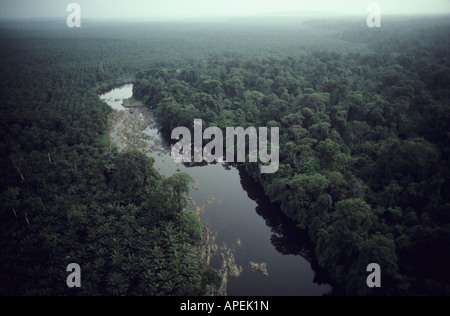 Vue aérienne montrant la plantation de palmiers à huile d'un côté de la rivière de la Munia et la forêt tropicale sur d'autres au Cameroun Banque D'Images