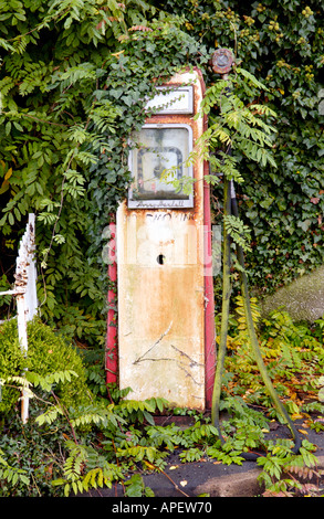 Vieux envahi par la pompe à essence à Hardall Avery Talgarth Powys Pays de Galles UK Banque D'Images