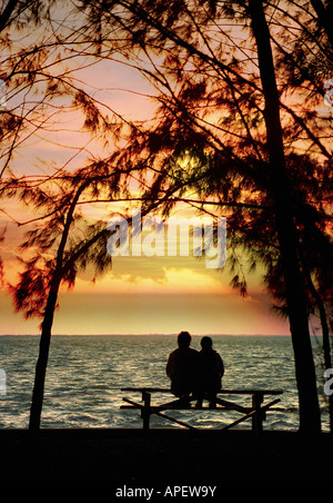 En silhouette couple assis sur un banc face à la mer coucher de soleil et entouré de grands arbres (à Miami Beach). Banque D'Images