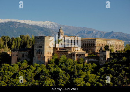 Le Palais de l'Alhambra, Grenade, Andalousie, espagne. Banque D'Images