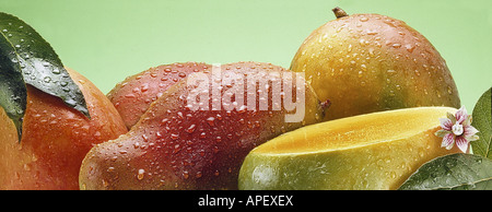 Studio close-up shot d'une tomate coupée en deux, avec fleur et feuille de tomate. Banque D'Images