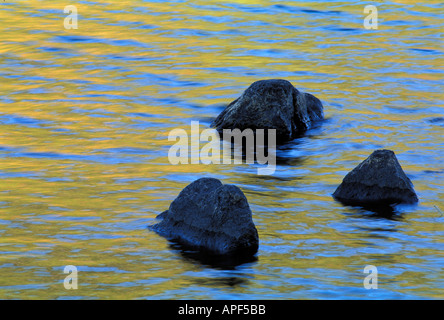 Les rochers de granit forment des îles sur l'étang de la bulle d'automne les couleurs de la forêt en raison de l'Acadia National Park Bar Harbor Maine Banque D'Images