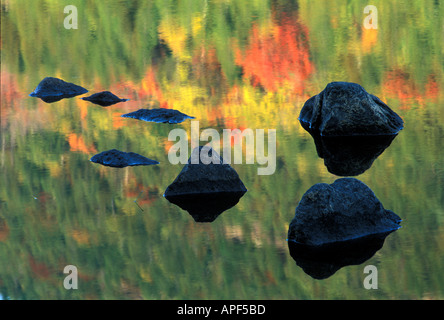 Les rochers de granit forment des îles entourées de forêt automne couleurs Bubble Étang Acadia National Park Bar Harbor Maine Banque D'Images