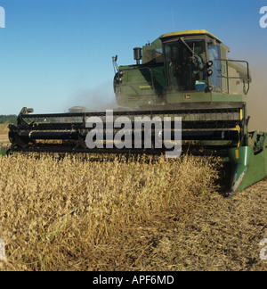 Moissonneuse-batteuse John Deere harverster la récolte d'une récolte de soja en Louisiane Banque D'Images