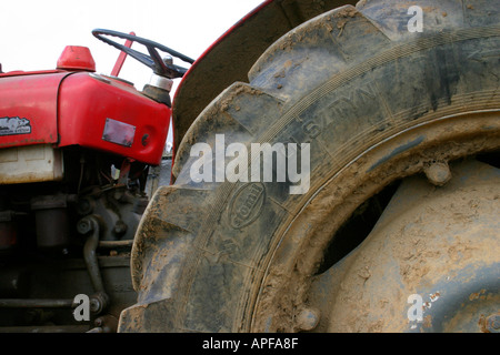 Vieux tracteur Massey Ferguson Banque D'Images