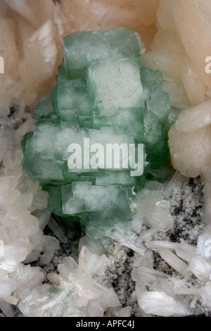 Apophylite (vert) et Stilbite (rose) Close-up - District de Jalgaon Inde Banque D'Images