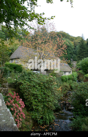 Chaumières, Buckland-dans-la-lande, Devon Banque D'Images