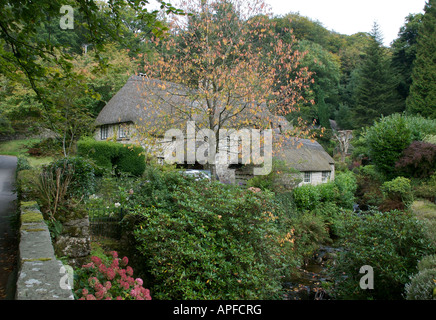 Chaumières, Buckland-dans-la-lande, Devon Banque D'Images