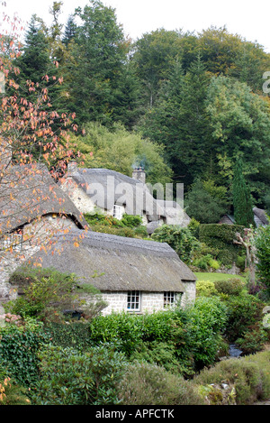 Chaumières, Buckland-dans-la-lande, Devon Banque D'Images