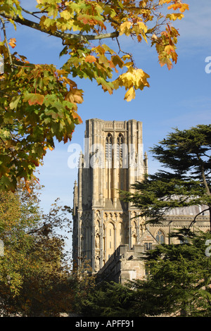 Wells Cathedral et vu à l'automne, avec les feuilles des arbres d'or vu de la douve de la palais des évêques Banque D'Images