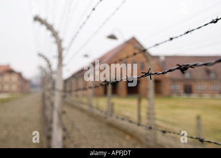Clôtures de barbelés d'Auschwitz, Pologne Banque D'Images