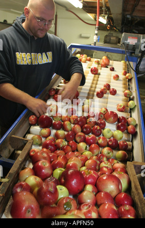 Michigan St. Johns,Uncle John's Cider Mill,Worker Trie des pommes,tapis transporteur,MI051018018 Banque D'Images