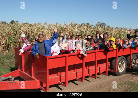 Michigan, MI, Mich, St.Johns,Oncle John's Cider Mill,hayride,cornfield,étudiant élèves vagues,eau,minorités,MI051018045 Banque D'Images