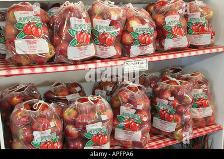 Michigan St. Johns,Uncle John's Cider Mill,pommes à vendre,peck,sacs en plastique transparent,Jonathan,MI051018066 Banque D'Images