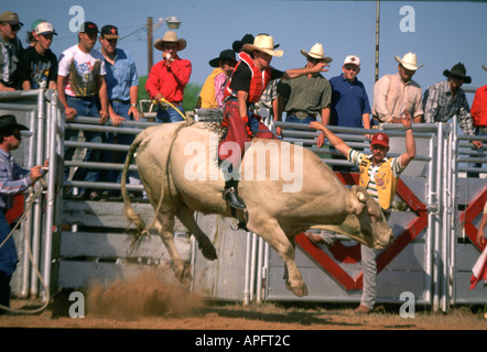 La monte de taureau rodéo, Texas Banque D'Images