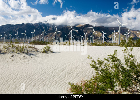 Ferme éolienne dans le désert près de Palm Springs en Californie Banque D'Images