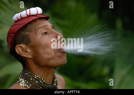 Colorado ou Tsçchila chaman indien effectue une cérémonie de purification, la pulvérisation d'alcool et d'herbes médicinales sur son 'patient' Banque D'Images