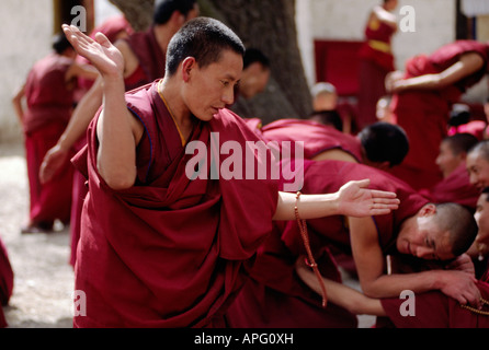 Débat Les moines les subtilités du bouddhisme tibétain dans cette forme historique de l'apprentissage au monastère de Séra Lhassa au Tibet Banque D'Images