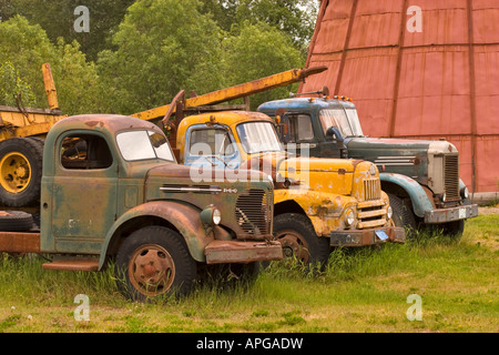 Vieux camions à un musée en plein air Banque D'Images