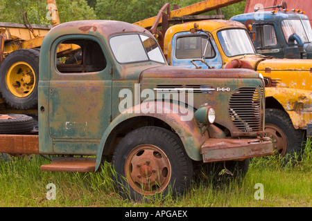 Vieux camions à un musée en plein air Banque D'Images