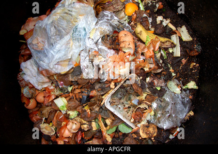 Les aliments et les déchets biodégradables de jardin à l'intérieur d'un bac à compost en plastique Banque D'Images