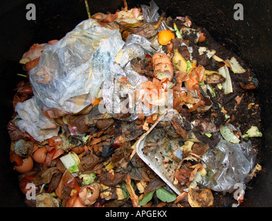 Les aliments et les déchets biodégradables de jardin à l'intérieur d'un bac à compost en plastique Banque D'Images