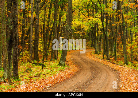 Une route de gravier serpente à travers la forêt d'automne de St Croix State Park près de Hinkley Minnesota Banque D'Images