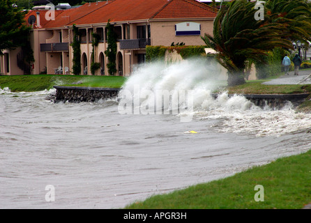 Le temps orageux au lac Taupo hautes vagues éclaboussant à shore Île du Nord Nouvelle-zélande Banque D'Images