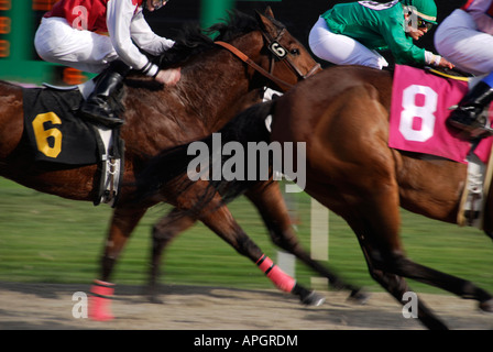 "Course de Chevaux, jockey vert à l'intérieur, le Golden Gate Fields, Berkeley, Californie' Banque D'Images