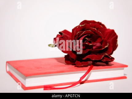 Close up of red velvet livre journal et une rose rouge sur le dessus. DOF peu profondes se concentrent sur la rose. Paillettes d'or qui reflète la lumière. Banque D'Images