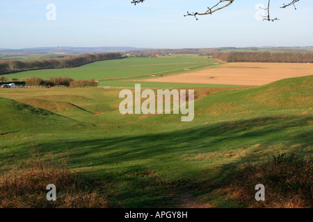 Badbury Rings est une commune dans l'est de Dorset, Angleterre Royaume-Uni gb Banque D'Images