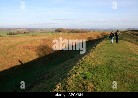 Badbury Rings est une commune dans l'est de Dorset, Angleterre Royaume-Uni gb Banque D'Images