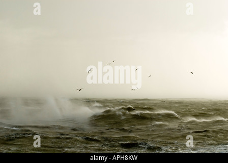 Manche de tempête de vent de tempête de grêle Banque D'Images