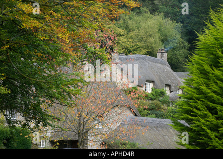 Chaumières, Buckland-dans-la-lande, Devon Banque D'Images