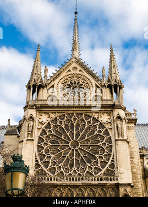 Côté sud détail rosace à la Cathédrale Notre Dame, l'Ile de la Cité, Paris France Banque D'Images