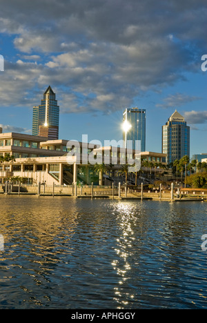 Centre de Conventions de Tampa Florida hôtels et skyline vue de l'Île Harbour Banque D'Images