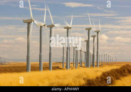 Les hélices des éoliennes tournent et produire de l'électricité dans le sud-est de l'État de Washington Banque D'Images