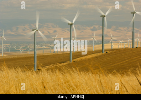 Les hélices des éoliennes tournent dans le vent qu'ils produisent de l'électricité dans le sud-est de l'état de Washington Banque D'Images