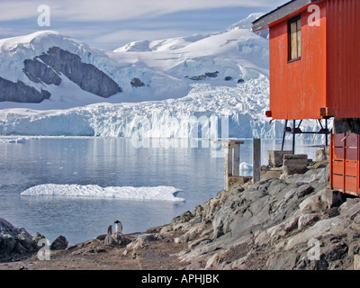 Manchots à l'Almirante Brown de recherche en Antarctique, Paradise Harbour Banque D'Images