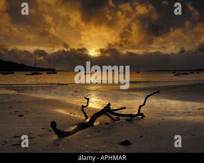 Coucher de soleil sur l'Appledore et Torridge et Taw vue estuaire de la plage à Instow dans le Devon. Banque D'Images