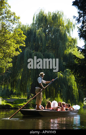 Promenades en barque sur la rivière Cam, dans le soleil d'été dos Cambridge Cambridgeshire East Anglia Angleterre Royaume-Uni Royaume-Uni GB Banque D'Images