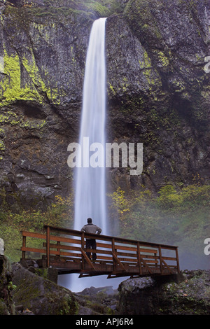 Elowah Falls et randonneur, Columbia River Gorge, Oregon Banque D'Images