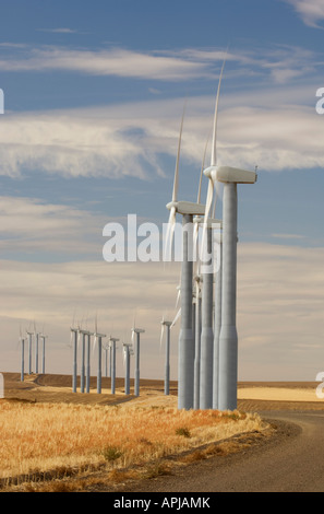 Des groupes d'éoliennes produisent de l'électricité comme leurs hélices tournent dans le vent Banque D'Images